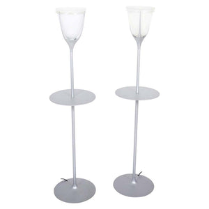 Modern Metal and Frosted Glass Floor Lamps (6719987482781)