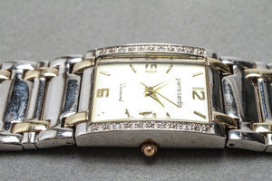 Pierre Cardin Diamond Stainless Steel Watch (6719911264413)